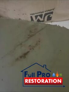 Mold-Cleanup-FullProRestoration-11906-Miramar-Pkwy-Miramar-FL-33025-786-218-2108