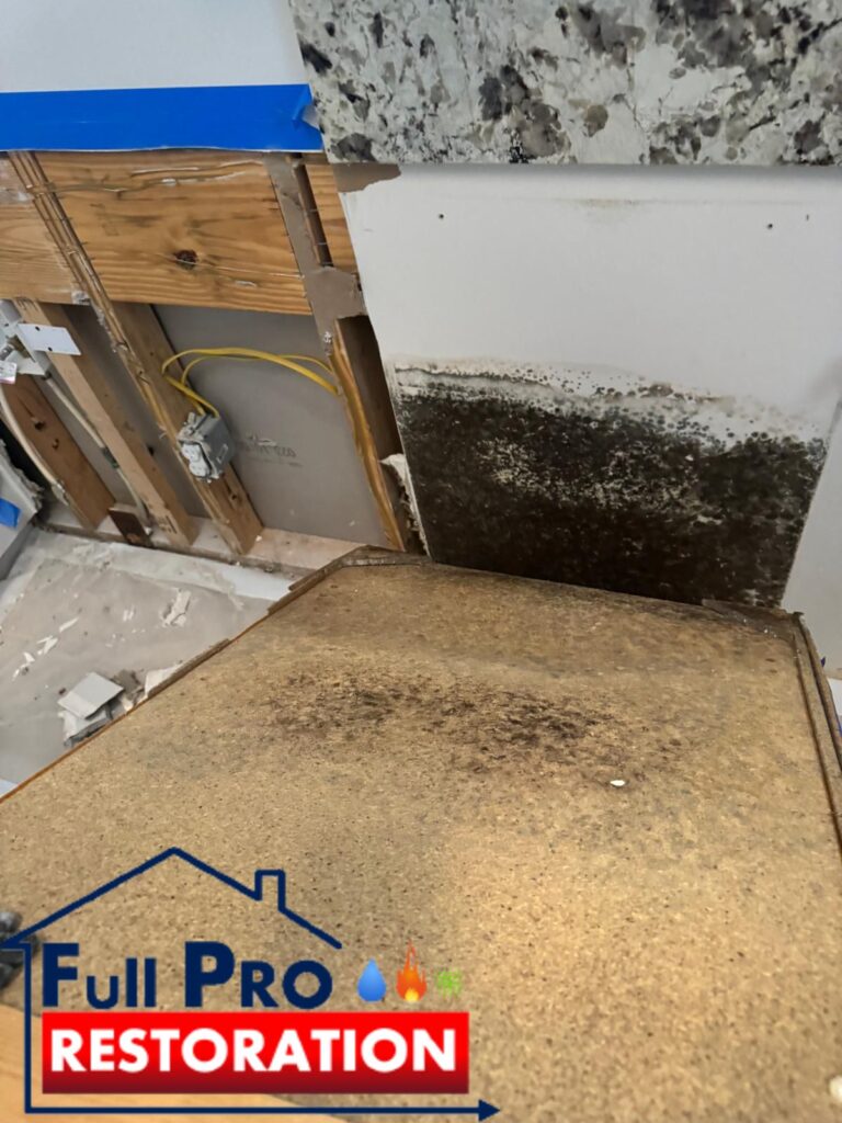 Mold-Remediation-FullProRestoration-11906-Miramar-Pkwy-Miramar-FL-33025-786-218-2108
