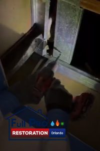 mold-removal-FullProRestorationOrlando-1550-Tileston-Rd-St-Cloud-FL-34771-689-285-3222