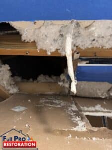 Mold-Removal-Near-Me-FullProRestoration-11906-Miramar-Pkwy-Miramar-FL-33025-786-218-2108